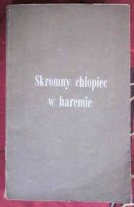 Skromny chłopiec w haremie, Józef Hen