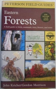 Eastern Forests, John Kircher - Gordon Morrison