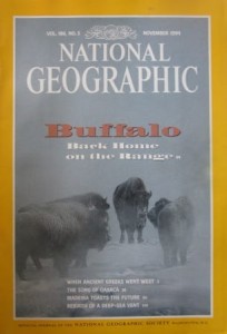 National Geographic 186/5 November 1994