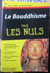 Le bouddhisme pour les nuls, Jonathan Landaw, Stephan Bodian